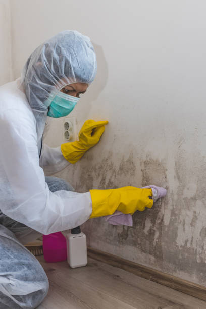 Best HVAC Mold Inspection and Cleaning  in Carlton, OR