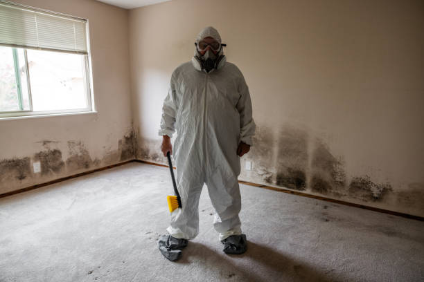 Best Water Damage & Mold Remediation  in Carlton, OR