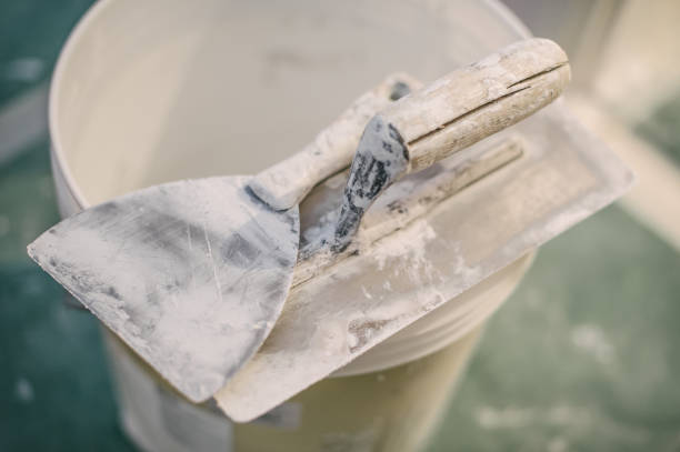 Best Black Mold Removal  in Carlton, OR